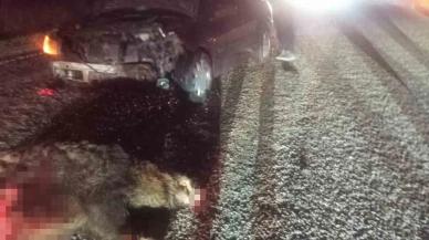 Bolu’da domuza çarpan otomobil hurdaya döndü: 1 yaralı