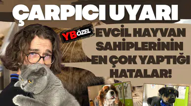 Veterinerden çarpıcı uyarı: Evcil hayvan sahiplerinin en çok yaptığı hatalar!
