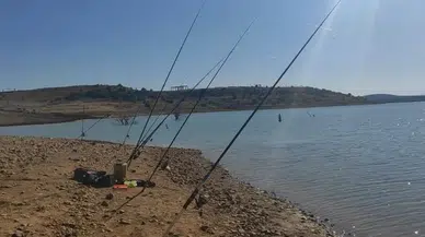 Balıkçılar oltayı attı, martı yakalandı: Kahramanlık kıyıdan geldi!