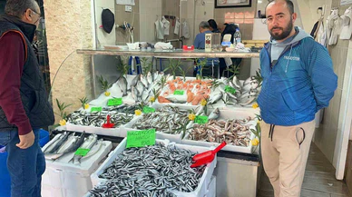 Düzce’de hamsi bolluğu: Fiyatlar dibe indi, tezgâhlar dolup taştı!