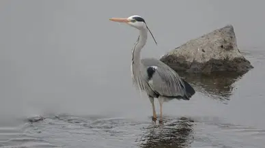 İnegöl’de doğa yürüyüşü beklenmedik kurtarma operasyonuna dönüştü!