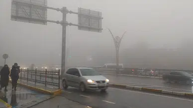 Şanlıurfalılar gördükleri manzarayla adeta şoke oldu! Kızıltepe’de şaşırtan olay...