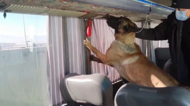 Yangın tüplerinin içinden çıkanlar 'pes' dedirtti!