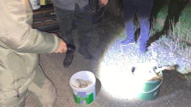 Avcılık değil katliam... O ışık sadece tavşanı değil, cebi de yaktı!