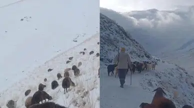 Ağrı’da tipi alarmı! Köy yolları kapandı, köylüler sürü peşine düştü