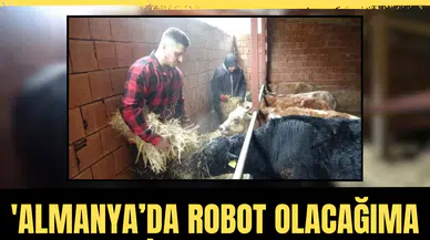 6 yılda kurduğu düzeni bir kararla bozdu: 'Almanya’da robot olacağıma memleketimde çoban olurum'