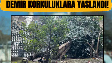 Yüzyılların tanığı, ecdad mirası demir korkuluklara yaslandı!