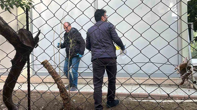'Paramı ver' dedi, bıçağı çekti... Antalya’da borç defteri kana bulandı!