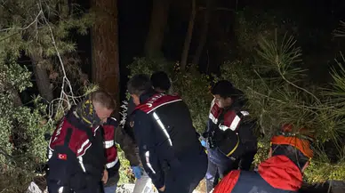 Yakınları akşama kadar bekledi, acı haber geldi! Ormana girdi, bir daha çıkamadı...