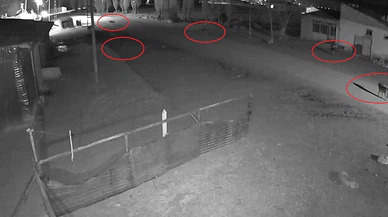 Bayburt’ta kurtlar kafayı köpeğe takınca... O tuzak kameraya anbean yansıdı!