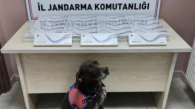 Yol kontrolünde yakalandı! Binlerce sigara ele geçirildi