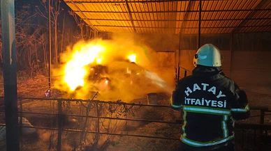 Defne’de samanlık yangını: Hızlı müdahale felaketi önledi!