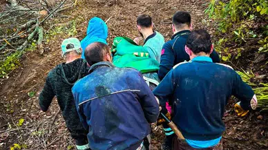 Cide’de ormanda yaralanan işçi sedyeyle taşınarak kurtarıldı