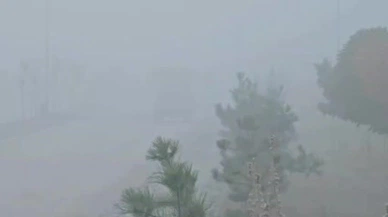 Farlar yetmedi, dikkat tükendi... Elazığ’da trafik sisle kilitlendi!