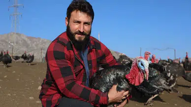 Almanya’yı bırakıp Elazığ’da patron oldu: Hindi çiftliği kurdu!