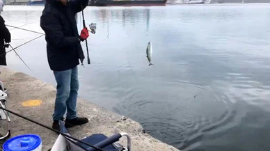 L İskele’de palamut mesaisi: Amatör balıkçılar kova doldurdu!