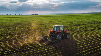 Mardin’de yerli tohum hamlesi: Yıldız tarım üretimi bölgeye yeni güç katıyor!