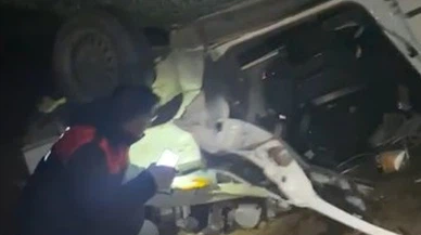 Kırşehir'de ani manevra, ağır fatura... Köpekten kaçayım derken yoğun bakıma girdi!