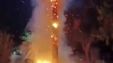 Mardin’de 15 yıllık palmiye ağacını ateşe verdiler