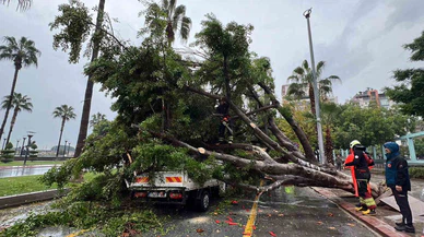 Mersin’de yağışla gelen tehlike: Ağaç araçların üzerine devrildi!
