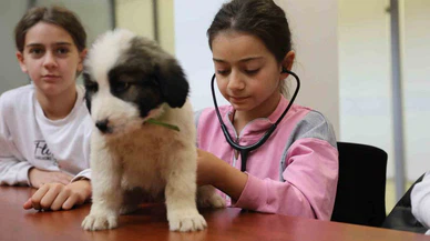 Minik veterinerler görev başında