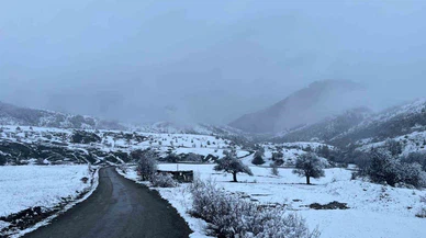Doğa kışa teslim oldu, manzara büyüledi: Sivas'ta dağlar beyaza büründü!