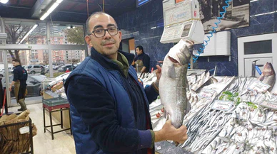 Palamut azaldı, hamsi Kayseri tezgahlarını doldurdu: Lezzet tezgahlara taştı!