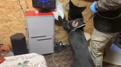 Koku aldı, ekipler harekete geçti: Narkotik köpeği Tony’den tam isabet!