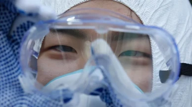 Yarasalar Üzerinde Tespit Edilen Yeni Koronavirüs İnsanlara Bulaşabilir mi?