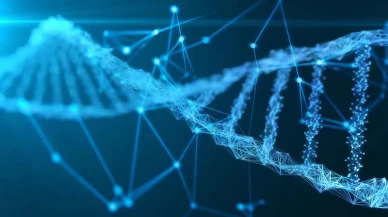 Bilim Dünyasını Sarsan Keşif: Dünya Nüfusunun Yarısı Aynı Kökenden Geliyor!