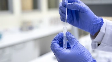 Korkutan Keşif: Yarasalar Yeni Bir Koronavirüs Taşıyor!