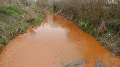 Sakarya’da Dere Kırmızıya Büründü: Dinsiz Deresi’nden Alarm Veren Görüntü!