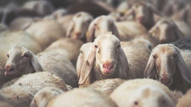 Güç yetirilemeyecek bir şey adamak geçerli olur mu?