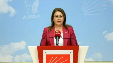 Gülizar Biçer Karaca Kimdir, Aslen Nereli, Kaç Yaşında, Kiminle Evli, Eşi Kim, Çocukları, Alevi mi?