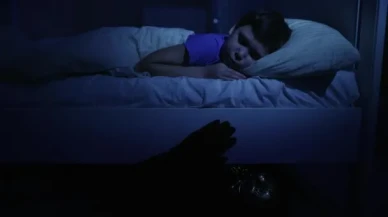 Kansas'ta Tüyler Ürperten Olay: Çocuğun "Canavar Var" Demesiyle Yatak Altından Şüpheli Çıktı