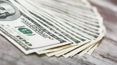 Goldman Sachs’tan Türkiye İçin Kritik Dolar Tahmini! 12 Ay Sonra 42 TL mi?