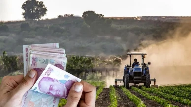 Mazot Gübre Desteği Mart 2025 Ödemesi Yattı mı? Çiftçi Destek Ödemesi Sorgulaması Nereden Yapılır?