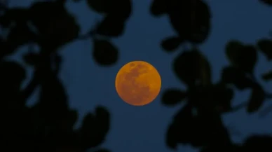 Bu gök olayını kaçırmayın! Kanlı Ay Tutulması Türkiye'den izlenebilecek mi?
