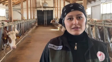 Ardahan'da Veteriner Ekipler Kar Çamur Dinlemeden Şap Ve Brusella Hastalığına Karşı Aşılama İşlemlerine Devam Ediyor