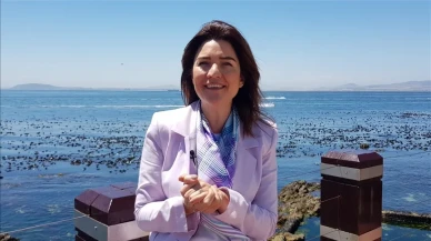 Elif Çomoğlu Ülgen Kimdir, Eşi Kim, Hangi Görevlerde Bulundu?