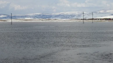 Kura Nehri Taştı, Göle Ovası Sular Altında: Doğa Alarm Veriyor!