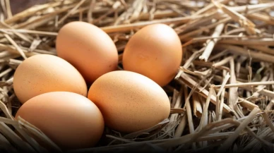 Yumurta fiyatlarını yükseltenlere geçit yok! Hükümetten kritik adım