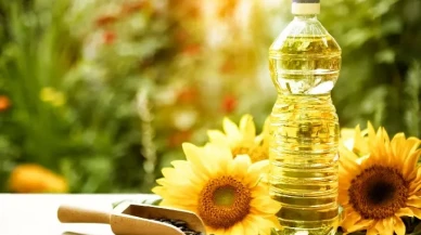 Bilim İnsanları Açıkladı: Bu Yağ Asidi Yaşlanmayı Geciktiriyor!