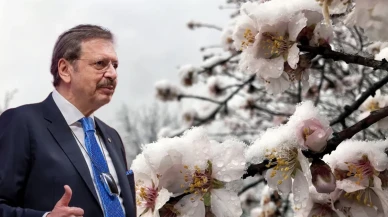 Tarımda büyük tehlike! Don felaketi sonrası üretici destek bekliyor