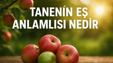 Tanenin Eş Anlamlısı Nedir? Kelime Anlamı, Kullanım Alanları ve Dilbilimsel Değerlendirme