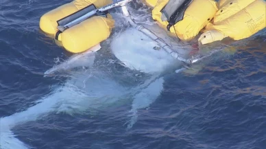 Denizin Ortasında Hayat Mücadelesi: Japonya’da Helikopter Faciası!