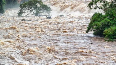 Kongo’da Sel Vurdu: Evler Yıkıldı, Can Pazarı Yaşandı!