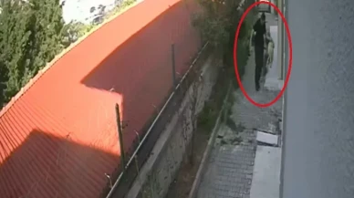 Ankara’da Veteriner Doktor Kılığında Dehşet: Sokak Köpeklerini Parçalayarak Öldürdü!