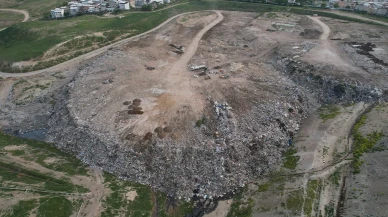Bursa'da Şok Eden Görüntüler: Barınaktan Çöplüğe Uzanan Hayvan Dramı!