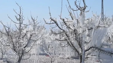 Kayseri’de Elma Üreticilerinden Zirai Dona Karşı Buzlu Savunma: “Spring Sistemi” Umut Oldu